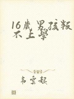 16岁男孩叛逆不上学