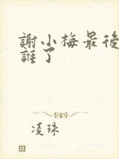 谢小梅最后嫁给谁了