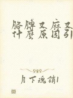 胳膊又麻又疼是什么原因引起的