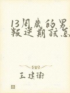 13周岁的男孩叛逆期该怎么办