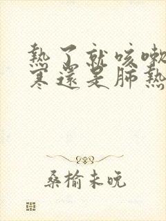 热了就咳嗽是肺寒还是肺热