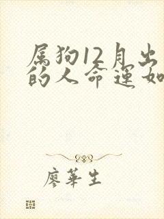 属狗12月出生的人命运如何