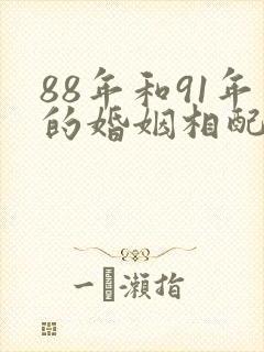 88年和91年的婚姻相配吗