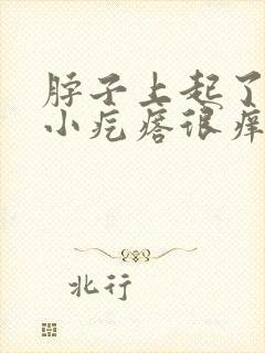 脖子上起了好多小疙瘩很痒痒