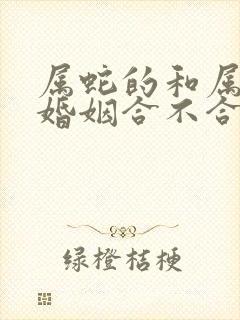 属蛇的和属鸡的婚姻合不合