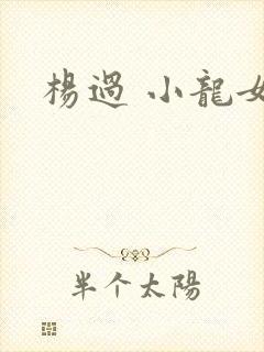 杨过 小龙女