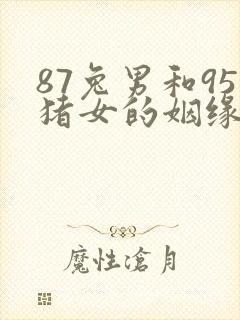 87兔男和95猪女的姻缘