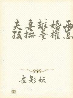 夫妻离婚两个小孩抚养权怎么判