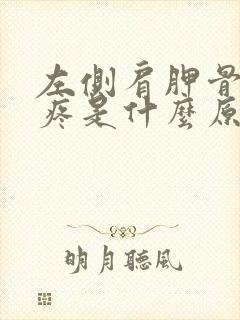 左侧肩胛骨后背疼是什么原因引起的封面