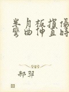 半月板损伤膝盖弯曲伸直时嘎吱响封面