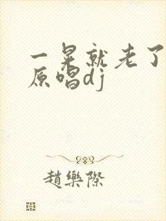 一晃就老了歌曲原唱dj