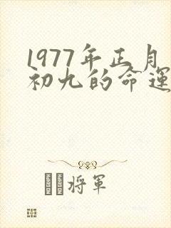 1977年正月初九的命运