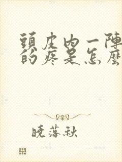 头皮内一阵一阵的疼是怎么回事封面