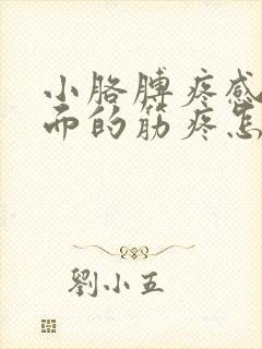 小胳膊疼感觉里面的筋疼怎么回事