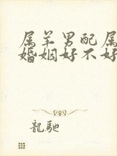 属羊男配属牛女婚姻好不好