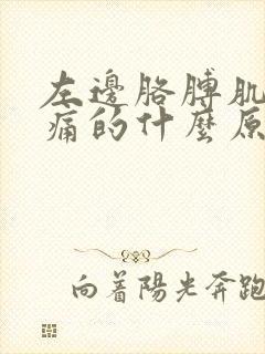 左边胳膊肌肉酸痛的什么原因封面