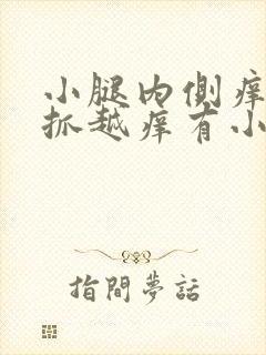 小腿内侧痒痒越抓越痒有小红疙瘩