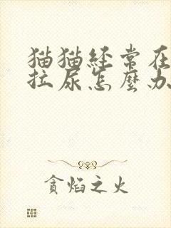 猫猫经常在床上拉尿怎么办