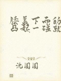 膝盖下面的骨头凸起一碰就痛