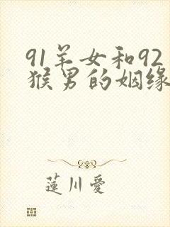91羊女和92猴男的姻缘怎么样封面