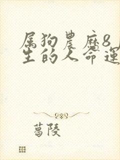 属狗农历8月出生的人命运