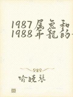 1987属兔和1988年龙的婚姻如何封面