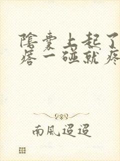 阴囊上起了个疙瘩一碰就疼