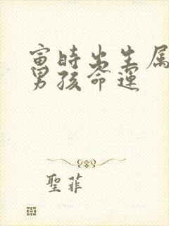 寅时出生属猪的男孩命运