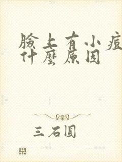 脸上有小痘痘是什么原因