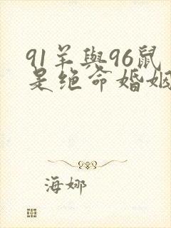 91羊与96鼠是绝命婚姻