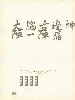 大脑右边神经一阵一阵痛封面