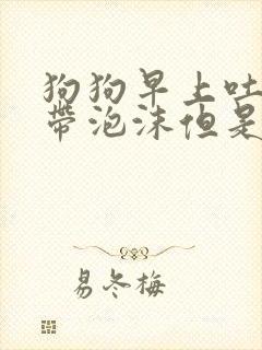 狗狗早上吐黄水带泡沫但是精神很好