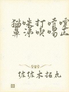 猫咪打喷嚏不流鼻涕吃喝正常封面