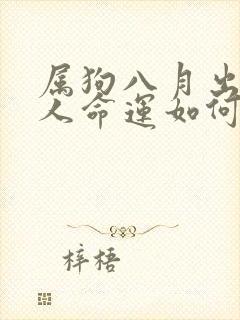 属狗八月出生的人命运如何封面