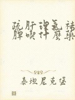 疏肝理气祛湿健脾吃什么药