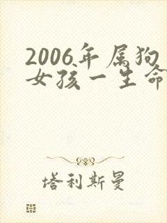 2006年属狗女孩一生命运如何