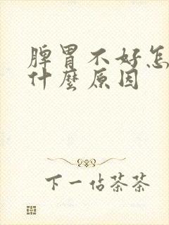 脾胃不好怎么是什么原因