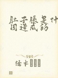 肚子胀是什么原因造成的