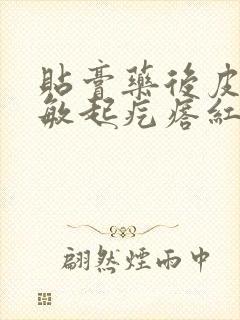 贴膏药后皮肤过敏起疙瘩红痒用什么药