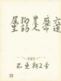 属狗农历六月出生的人命运