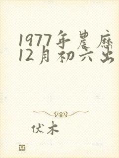 1977年农历12月初六出生是什么命