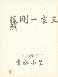 张刚一家三口近照封面