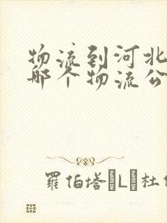 物流到河北要找哪个物流公司