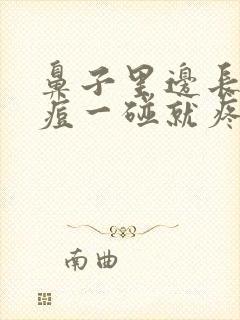 鼻子里边长了个痘一碰就疼