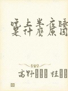 晚上半夜睡不着是什么原因