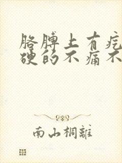 胳膊上有疙瘩硬硬的不痛不痒