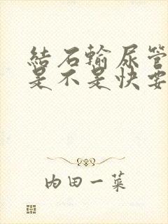 结石输尿管尿血是不是快要排出了封面