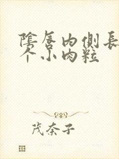 阴唇内侧长了一个小肉粒