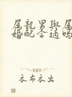 属龙男与属虎女婚配合适吗