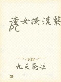 渣女撩汉系统NPC封面